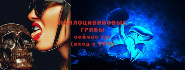 мдма Медвежьегорск