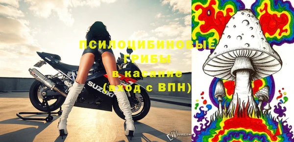 гашик Медногорск