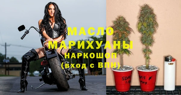 гашик Медногорск