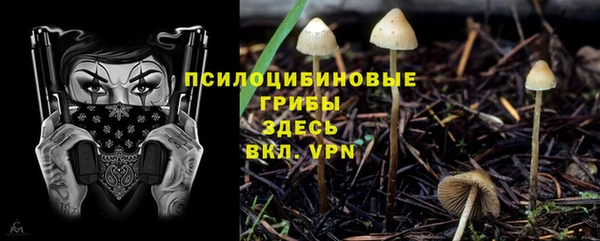 мдма Медвежьегорск