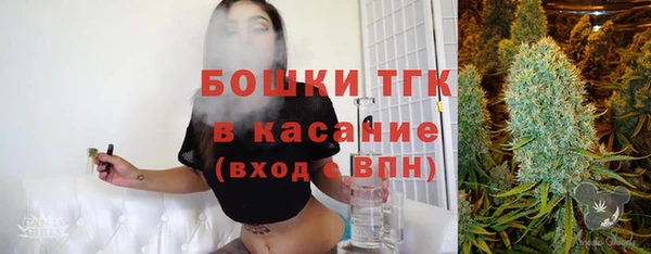 гашик Медногорск