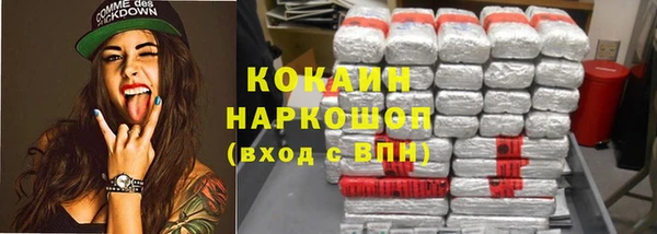 гашик Медногорск