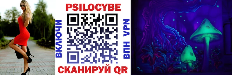 Псилоцибиновые грибы мицелий  kraken вход  Шилка 